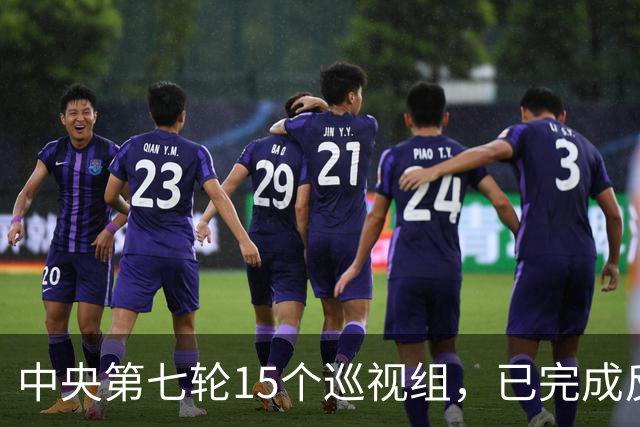 中央第七轮15个巡视组，已完成反馈，有些问题直接转中纪委处理！
